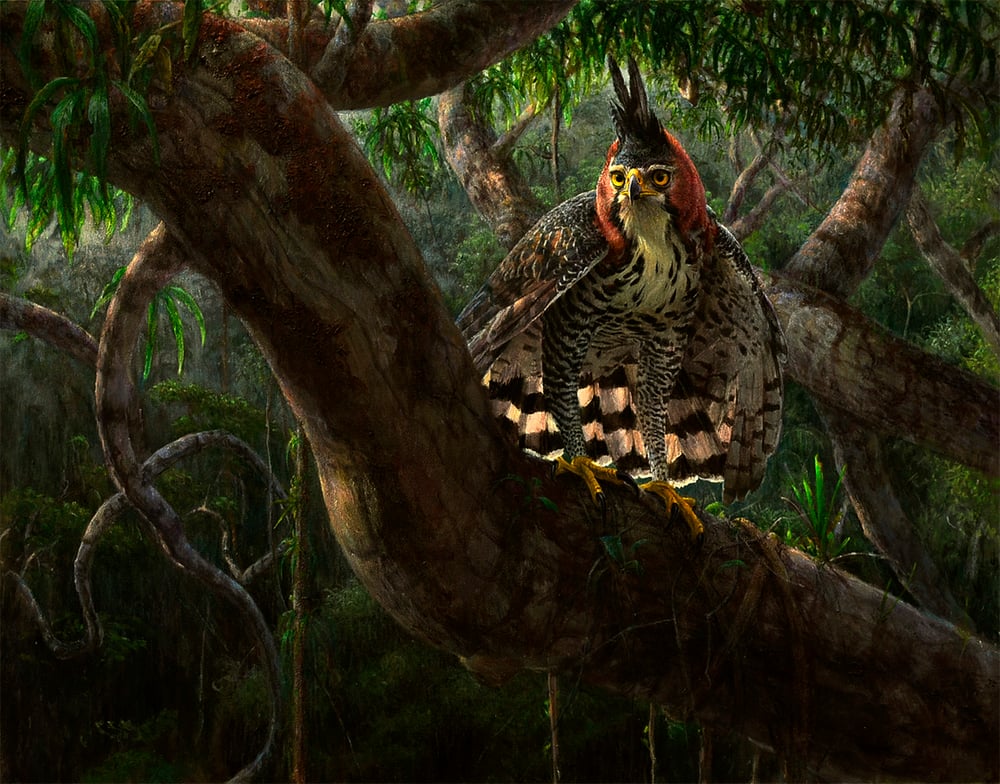 Wildlife