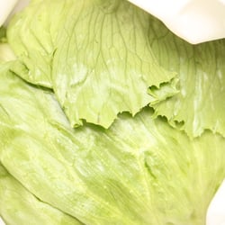 Eisbergsalat Nov. 2012