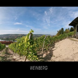 Weinberg