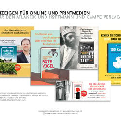 Portfolio 2018−2020 kuzin-kolling41