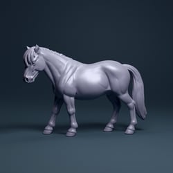 Exmoor Pony