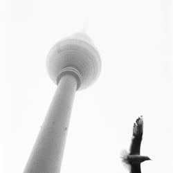 Fotografien