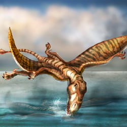 Dimorphodon I