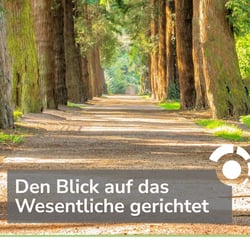 Header der Teamseite