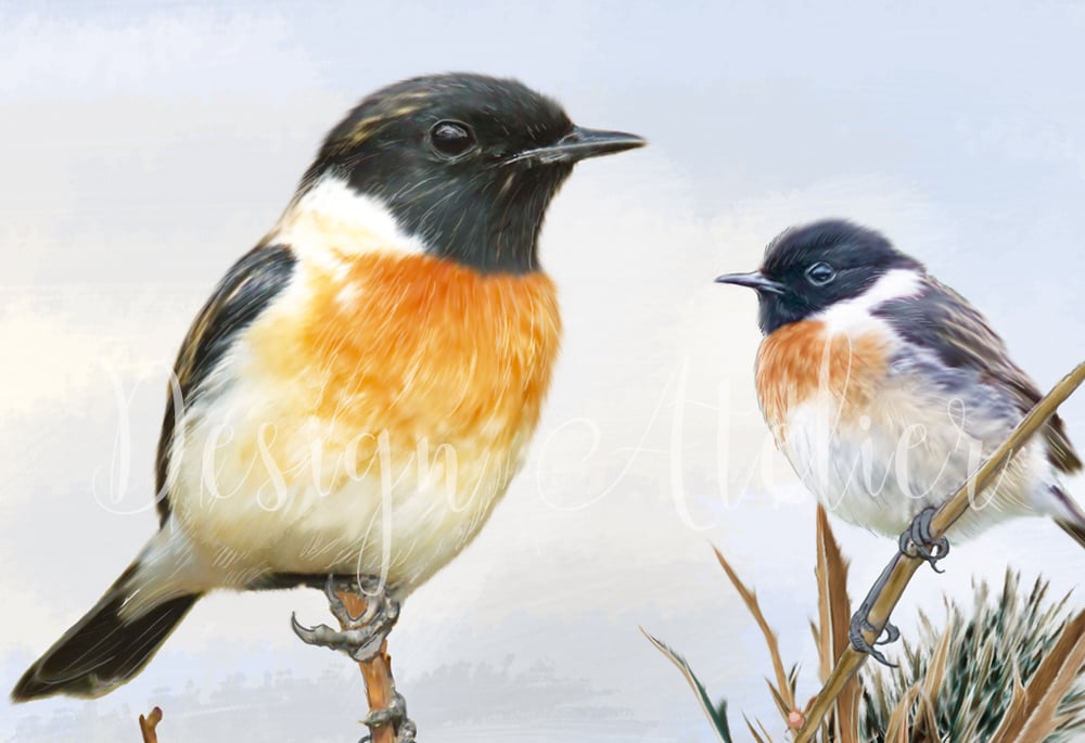 Birds 01