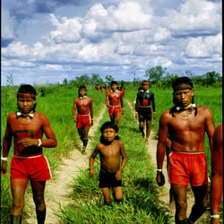Mato Grosso