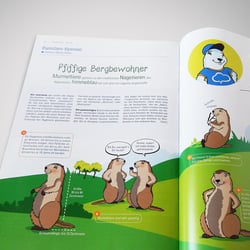 himmeblau – Magazin