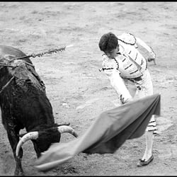 Muletta