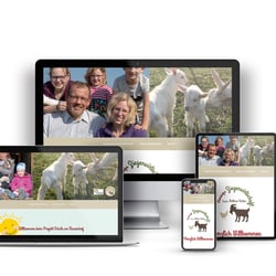 Website