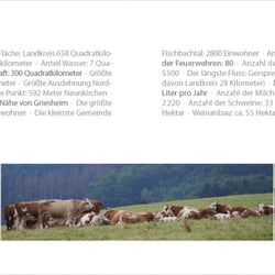 Kapitel Wirtschaft