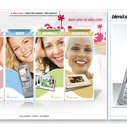 zinario massmann webdesign blendamed flash microsite