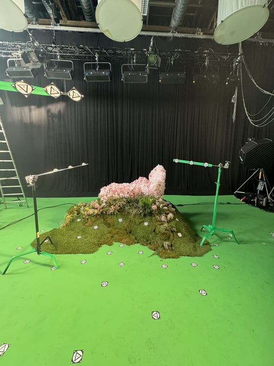 Zalando Art Direction and Production