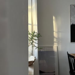 IMG 0221