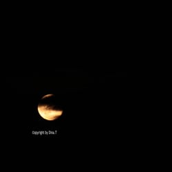 Moon – Ju. 2014 © by Dina.T