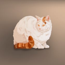 Kater Arno