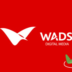 work-wads-001 (1)