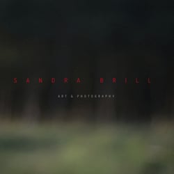 www.sandrabrill.com