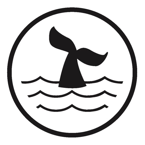 pellybay GmbH