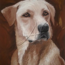 Golden Dog, 60 × 80 cm, Hundeabbild vom Foto