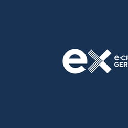 Logo Größen