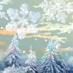Season Greetings