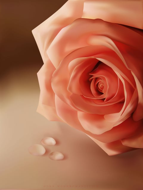 Rose