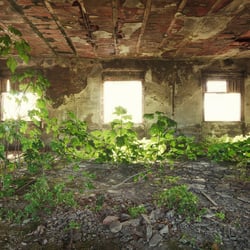 Interior Garden