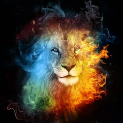 lionscolor1300