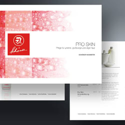 SCHÖNER Kosmetik Pros Skin Flyer