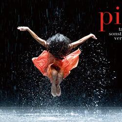Pina