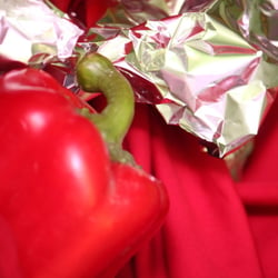 Food Photography 2012 Rezepte Paprika 01