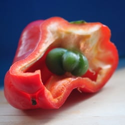 Food Fotografie 2012 Paprika in Farbe No 08