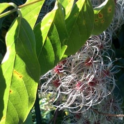 Herbst…Oktober 2012 Teil 02