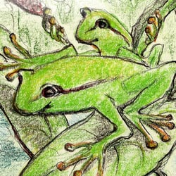 Illustration aus: Die Froschprinzessin