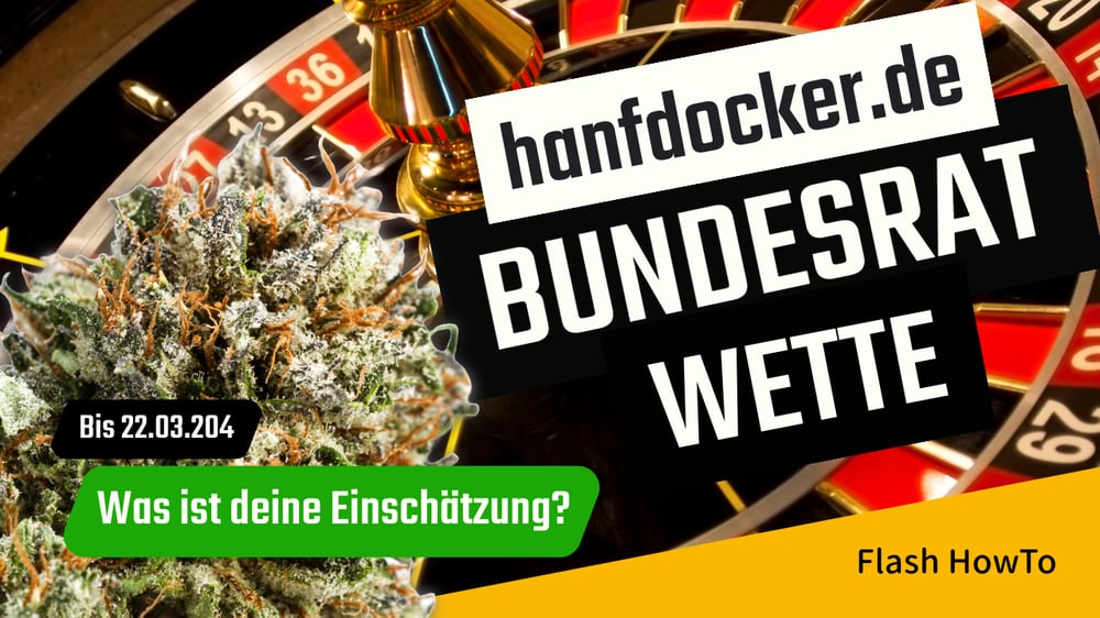 bundesrat cannabisgesetz