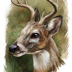Hirsch portrait