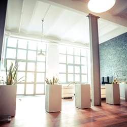 Agentur