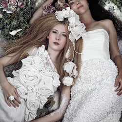 Hochzeitswahn 2014
