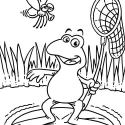 Fliegenforscher Fridolin
