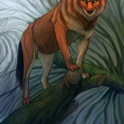 rotwolf