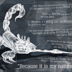 Illustration – the Skorpion