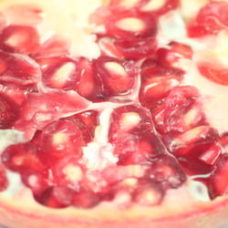 Granatapfel November 2012