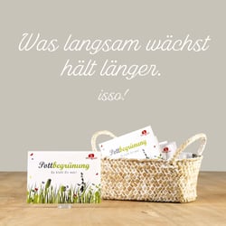 Pottbegrünung. Was langsam wächst hält länger.