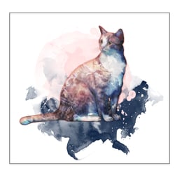 katze