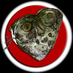 Geflecktes Herz