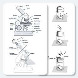Aufbauanleitung, Illustration für Lehrmittel, Raabe Verlags-GmbH