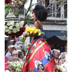 Festa do Flor