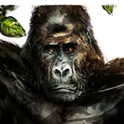 Gorilla (Sachbuch)