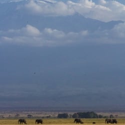 amboseli np22