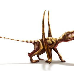 Dimorphodon II